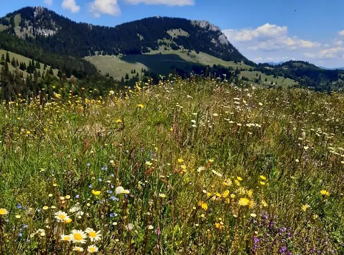 Fewo Niederndorferberg