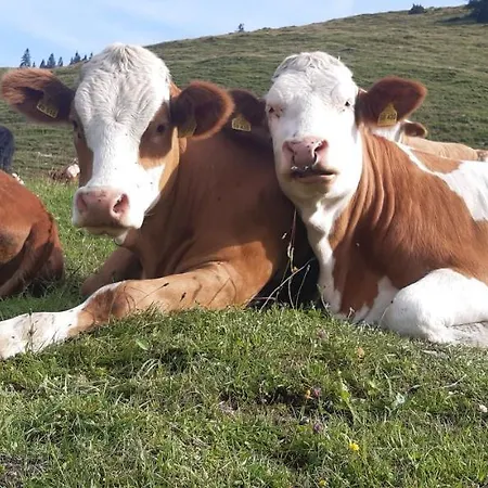 Fewo Niederndorferberg