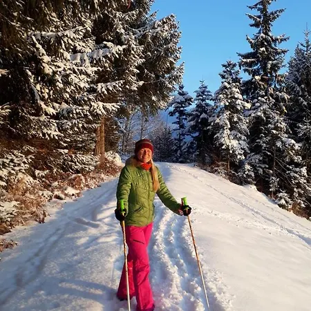 Lejlighed Fewo Niederndorferberg *