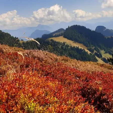 Fewo Niederndorferberg Lejlighed