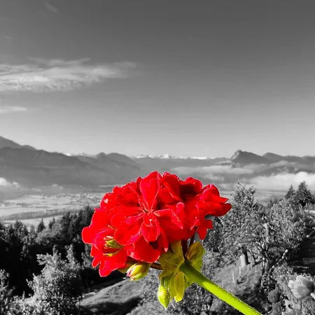 Fewo Niederndorferberg Lejlighed