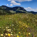 Fewo Niederndorferberg