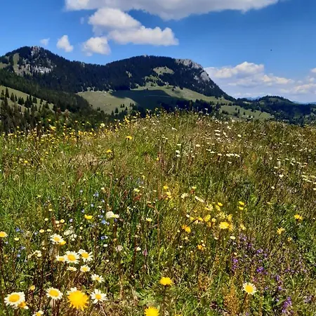 Fewo Niederndorferberg
